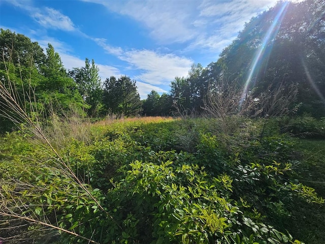 720 Mudline Rd, Eagletown, OK 74734 - view of undeveloped land