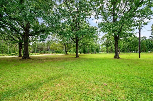 2590 Old 21 Rd, Idabel, OK 74745 - view of green lawn