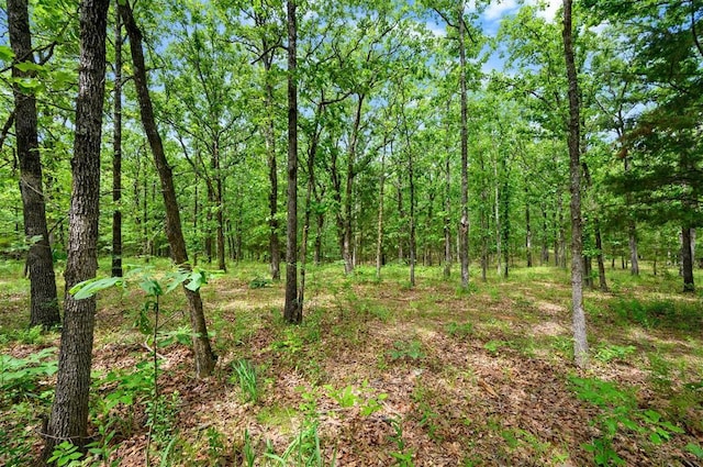 2590 Old 21 Rd, Idabel, OK 74745 - view of woods