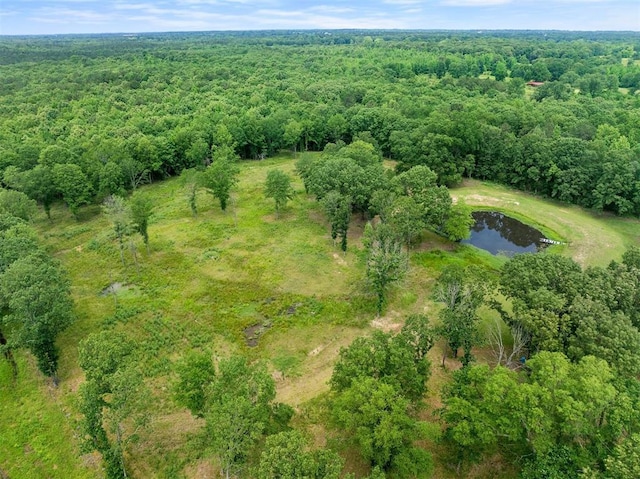 2590 Old 21 Rd, Idabel, OK 74745 - view of property location featuring a heavily wooded area and a large body of water