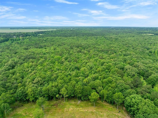 2590 Old 21 Rd, Idabel, OK 74745 - aerial view of a heavily wooded area