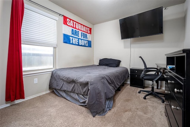 1528 Fawn Run Xing, Norman, OK 73071 - bedroom featuring carpet, baseboards, and an office area