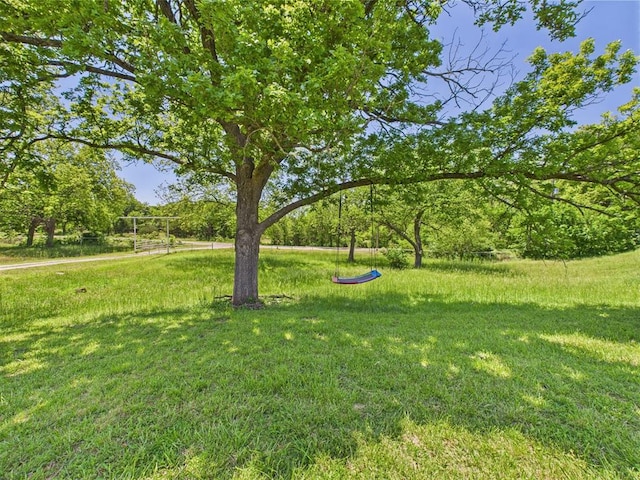 view of grassy yard