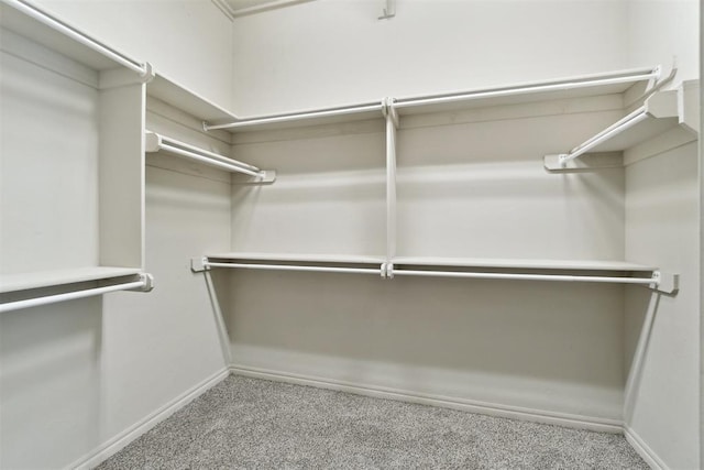 walk in closet with carpet