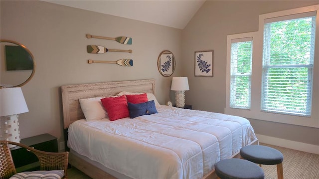 25 Firefly Ln, Eufaula, OK 74432 - bedroom featuring lofted ceiling and carpet