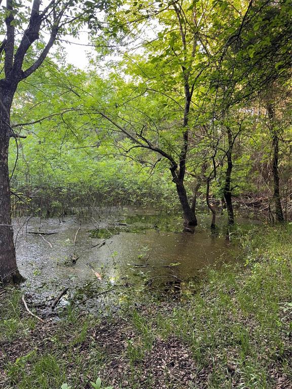 218 N 4150th Rd, Antlers, OK 74523 - view of tree filled area