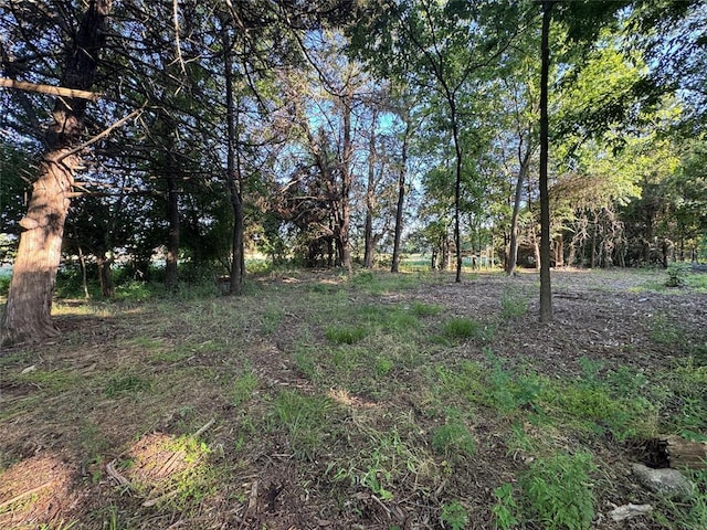218 N 4150th Rd, Antlers, OK 74523 - view of local wilderness