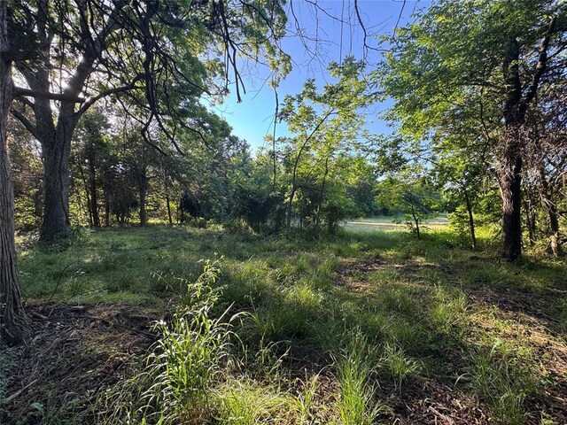 218 N 4150th Rd, Antlers, OK 74523 - view of undeveloped land