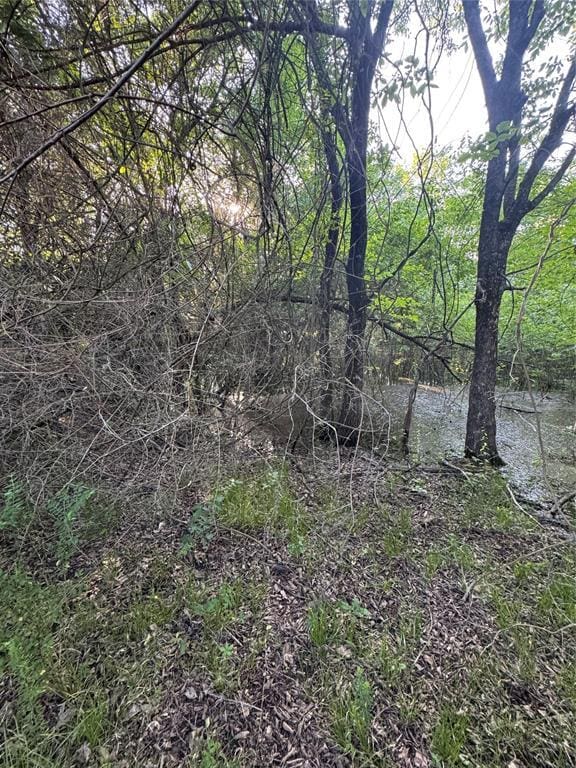 218 N 4150th Rd, Antlers, OK 74523 - view of nature