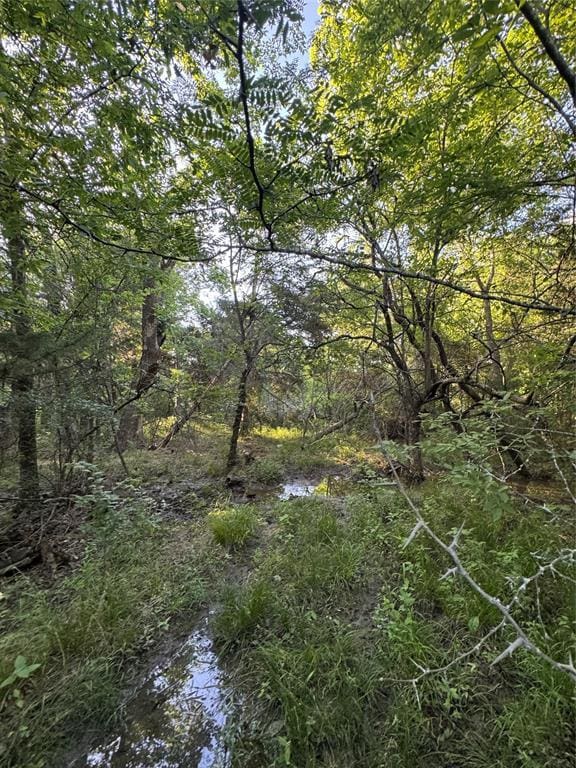 218 N 4150th Rd, Antlers, OK 74523 - view of nature