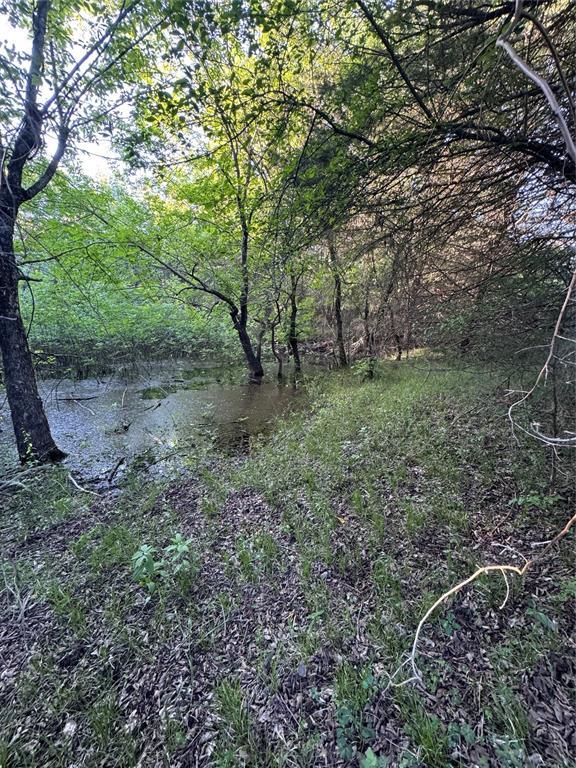 218 N 4150th Rd, Antlers, OK 74523 - view of tree filled area
