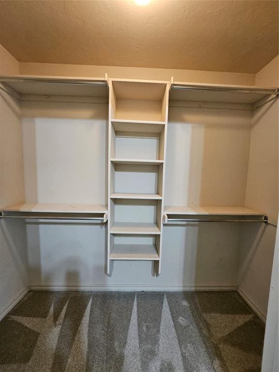 1801 Caribou St, Altus, OK 73521 - spacious closet with carpet floors