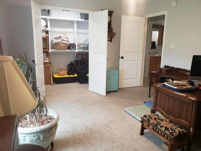 14452 Ns 3630th Rd, Sasakwa, OK 74867 - carpeted bedroom with a sink and a closet