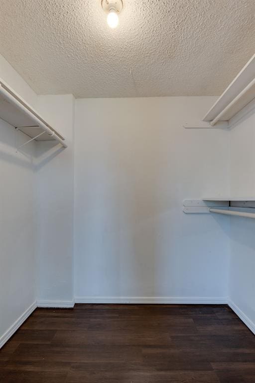 walk in closet with wood finished floors
