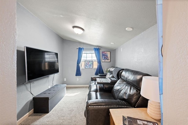 20302 Kings Rd, Shawnee, OK 74801 - living room featuring lofted ceiling, carpet floors, a textured wall, baseboards, and a textured ceiling