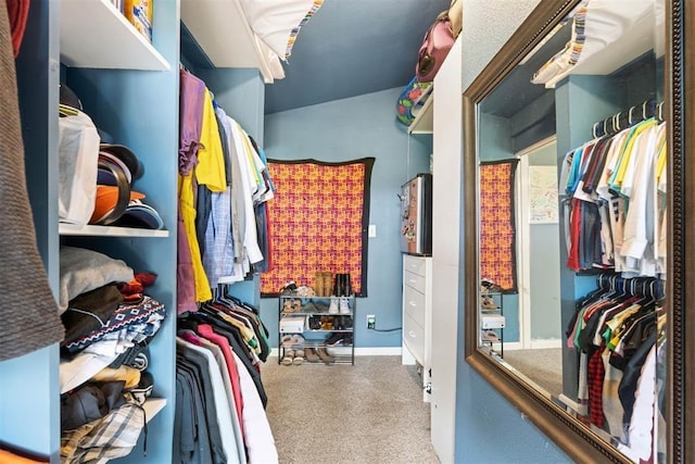 20302 Kings Rd, Shawnee, OK 74801 - spacious closet with carpet flooring