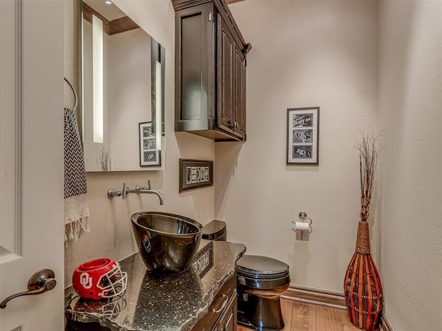 4401 Cannon Dr, Norman, OK 73072 - bathroom featuring wood finished floors and vanity