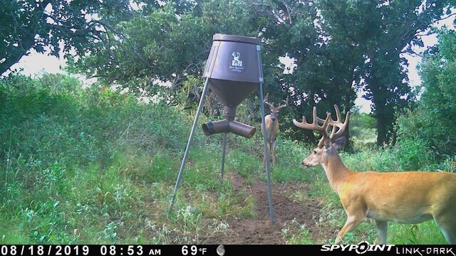 N 1680 Road, Sweetwater, OK 73666 - photo 10