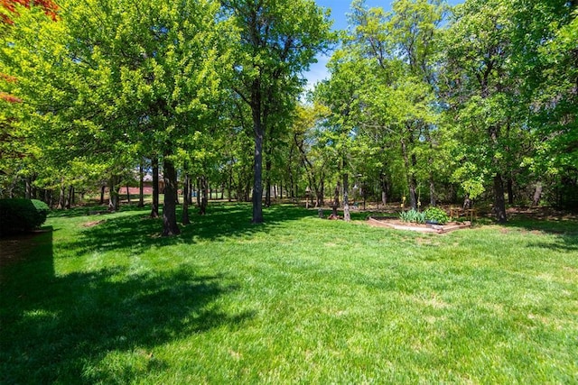 view of green lawn