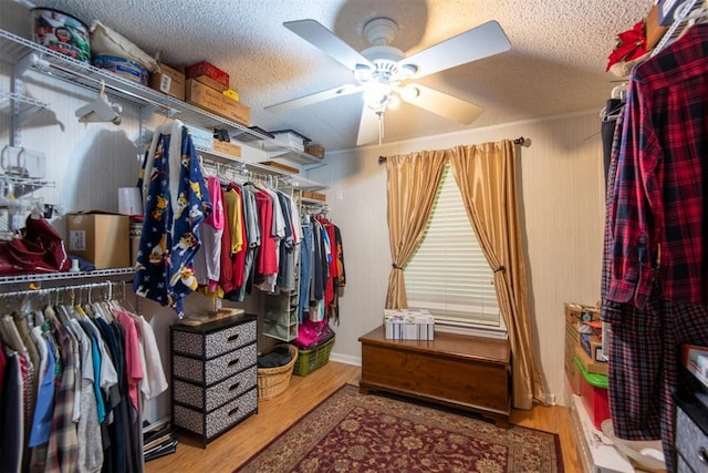 13351 El Zorro, Edmond, OK 73034 - spacious closet featuring ceiling fan and wood finished floors