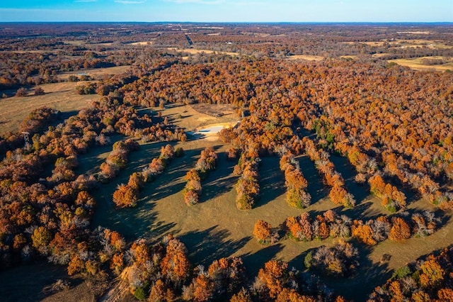 E Sandy Creek Rd, Coleman, OK 73432 - photo 4