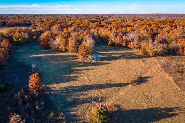 E Sandy Creek Rd, Coleman, OK 73432 - photo 15