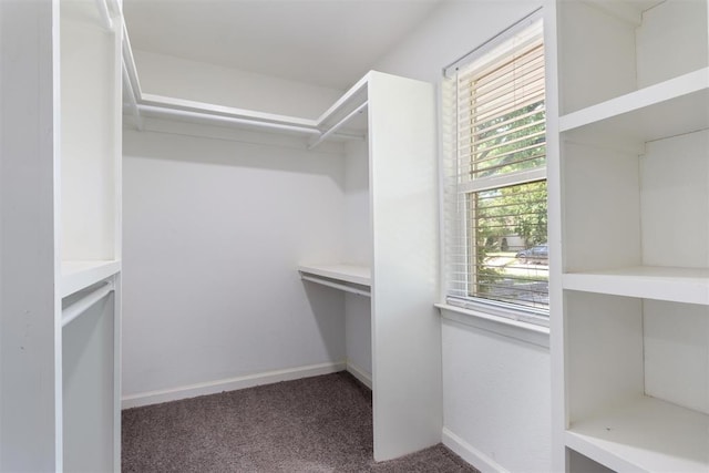 3004 Robin Ridge Rd, Oklahoma City, OK 73120 - walk in closet with carpet floors