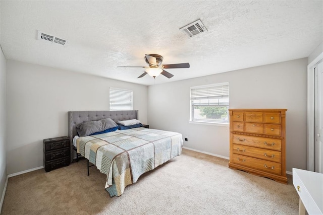 700 Nancy Lynn Ter, Norman, OK 73069 - bedroom with multiple windows, light carpet, baseboards, and a textured ceiling