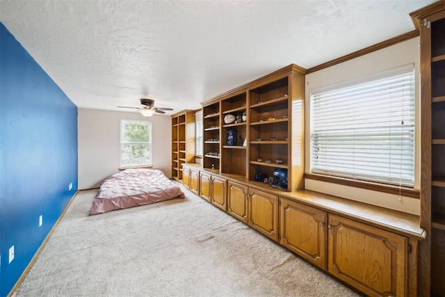 700 Nancy Lynn Ter, Norman, OK 73069 - bedroom featuring light colored carpet, baseboards, and a textured ceiling