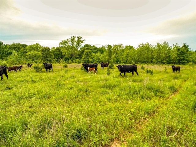 368145 E 980th Rd, Boley, OK 74833