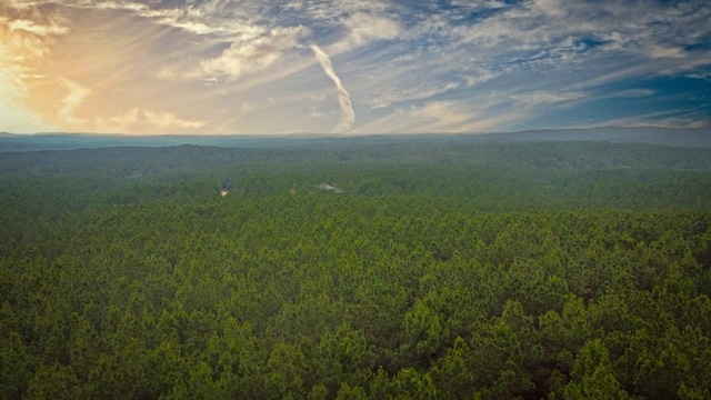 580 Pine Hills Rd, Broken Bow, OK 74728