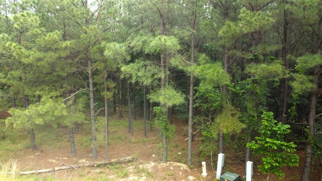 580 Pine Hills Rd, Broken Bow, OK 74728