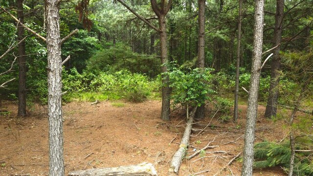 580 Pine Hills Rd, Broken Bow, OK 74728