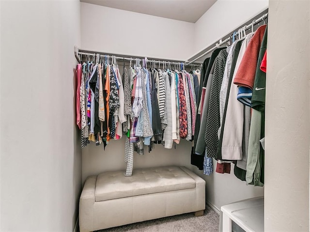 11704 NW 99th Ter, Yukon, OK 73099 - spacious closet with carpet flooring
