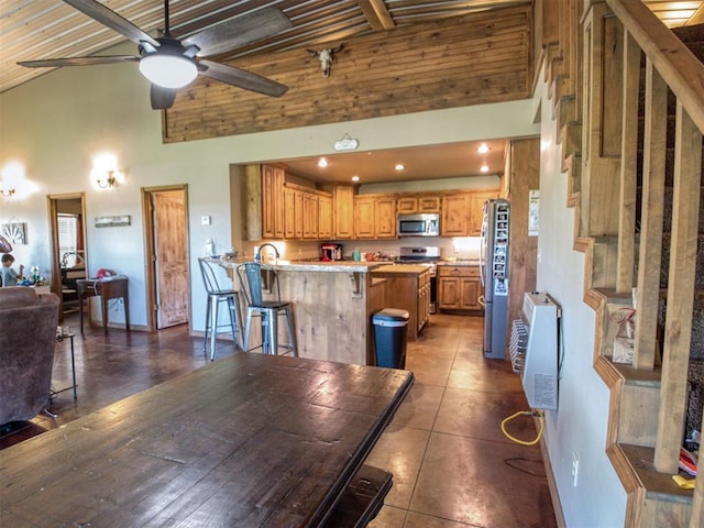 34325 E 1070th Rd, Mcloud, OK 74851 - kitchen with appliances with stainless steel finishes, ceiling fan, a peninsula, high vaulted ceiling, and heating unit