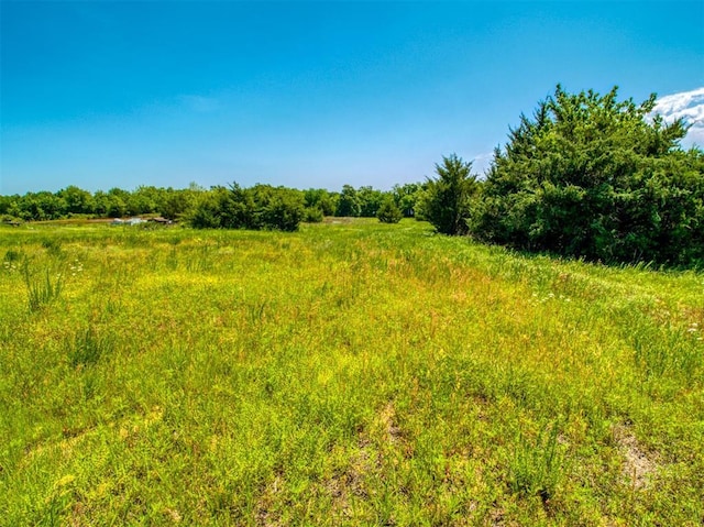 34325 E 1070th Rd, Mcloud, OK 74851 - view of local wilderness