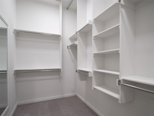 7909 NW 162nd St, Edmond, OK 73013 - spacious closet featuring carpet flooring