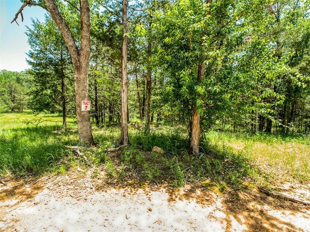 NE Copperhead Rd, Sawyer, OK 74756 - photo 1