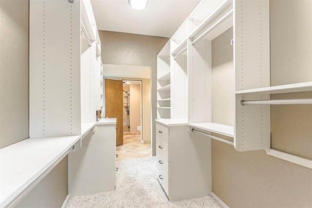 11100 Willow Grove Rd, Oklahoma City, OK 73120 - spacious closet with light carpet