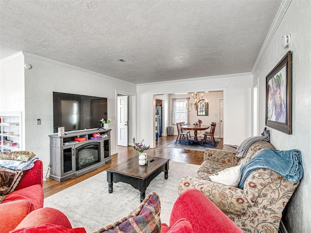 705 Chautauqua Ave, Norman, OK 73069 - living room featuring ornamental molding, wood finished floors, a textured ceiling, a chandelier, and a textured wall