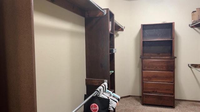 928 County St Unit 2932, Tuttle, OK 73089 - walk in closet with carpet