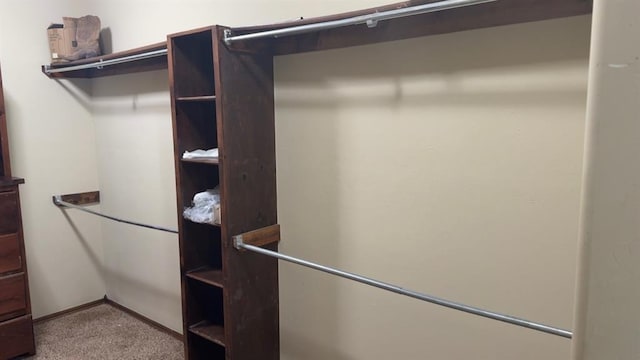 928 County St Unit 2932, Tuttle, OK 73089 - spacious closet with carpet floors