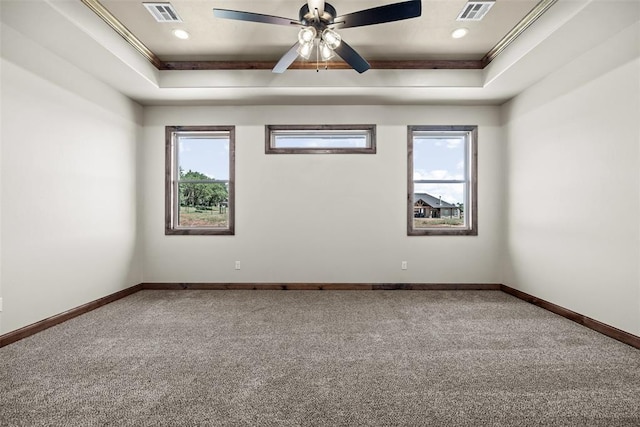 2414 Black Jack Way, Blanchard, OK 73010 - unfurnished room with a raised ceiling, healthy amount of natural light, carpet floors, and crown molding
