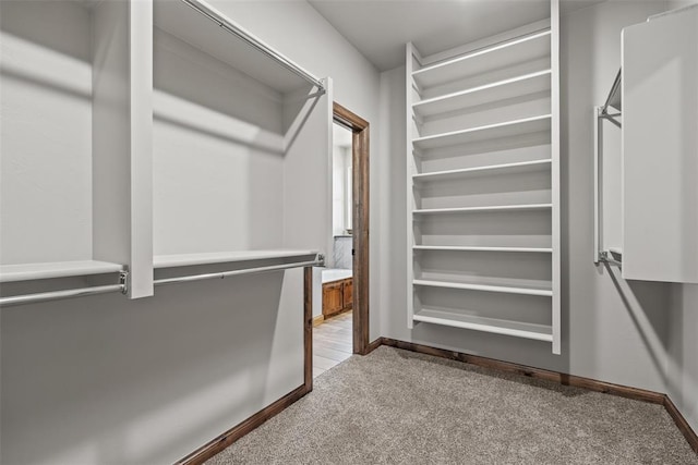2414 Black Jack Way, Blanchard, OK 73010 - walk in closet featuring carpet flooring