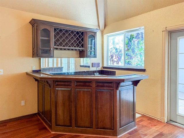 2010 Saddleback Blvd, Norman, OK 73072 - indoor wet bar with vaulted ceiling and light wood-type flooring