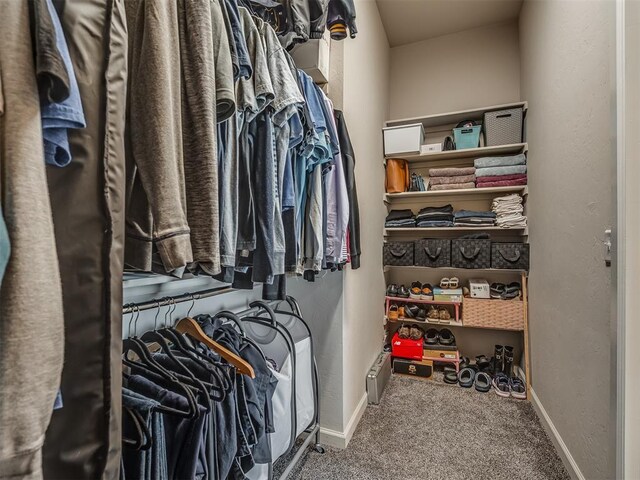 16112 Buffalo Dr, Oklahoma City, OK 73170 - spacious closet with carpet floors