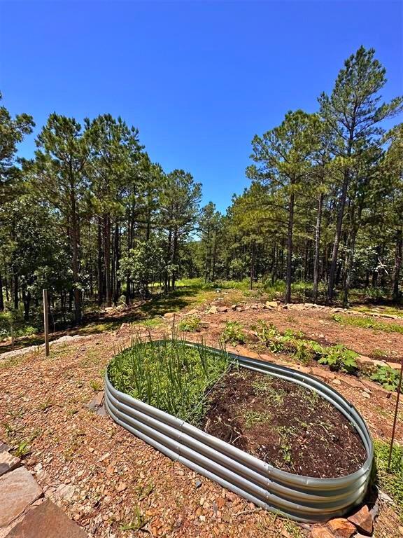 13425 SW 1025th Ave, Tuskahoma, OK 74574 - view of yard featuring a garden