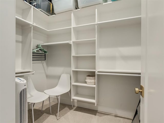 80 Pistache Ln, Carlton Landing, OK 74432 - walk in closet with carpet