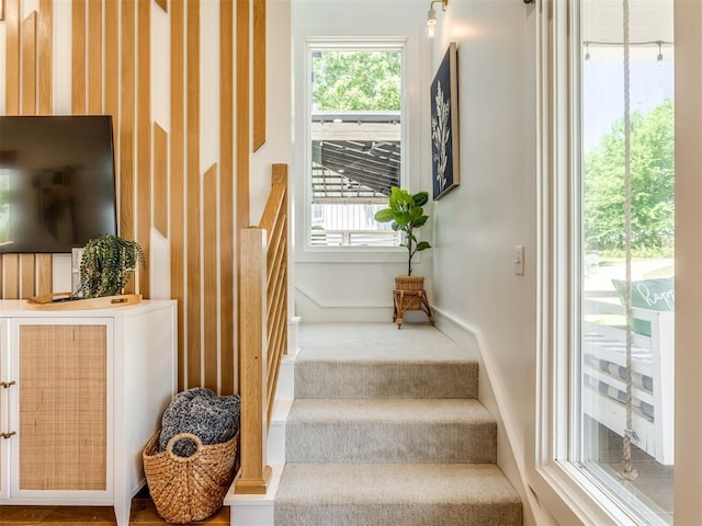 80 Pistache Ln, Carlton Landing, OK 74432 - stairway featuring plenty of natural light, carpet, and baseboards
