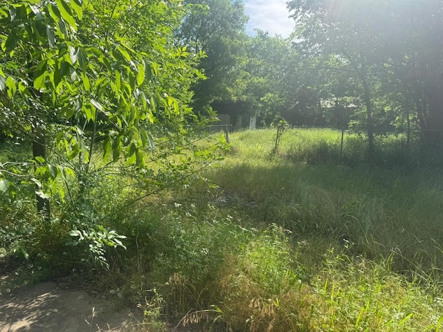 1024 C St SW, Ardmore, OK 73401 - view of tree filled area